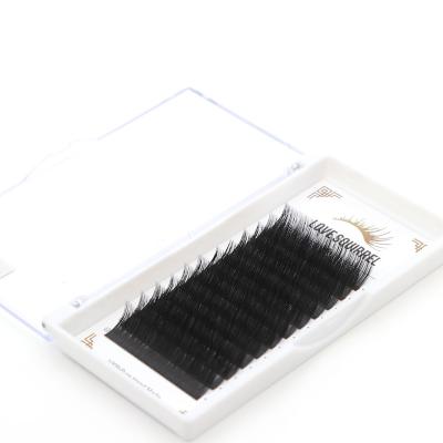 China Natural Wholesale Silk Eyelash Extension Beauty Private Label Eyelash Extensions Silk Soft Eyelash Extensions for sale