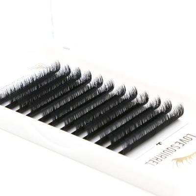 China Private Label Bloom Lash Tray Soft Cashmere Easy Fan Bloom Lash Perfect Auto Bloom Eyelash Extensions for sale