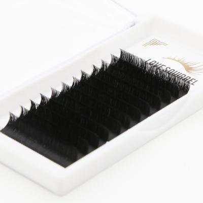 China Mink Easy Fan Eyelash High Individual Quality Blooming Blooming Lash Extension Supplies Private Label Squirrel Love Eyelash Extensions for sale