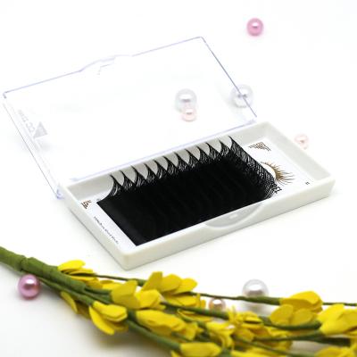 China Good Quality Easy Bloom Eyelash Fan Whips Wholesale Flower Lashes Manufacture Supplies Bloom Volume Lash Extension Factory for sale