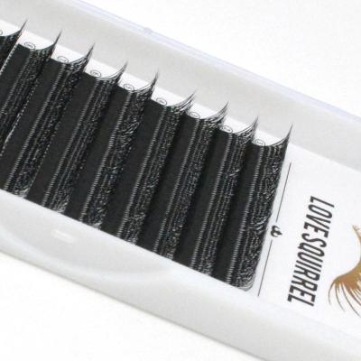 China W shaped lash love squirrel c/d lash extensions with hot c/d curl wisps for sale