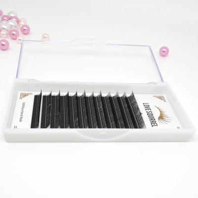 China Custom Packing Stickybox Clover Eyelash Thickness 4 Thickness 4d Roots 4d Silk Fans Lash Four Leaf Clover Eyelash Extension for sale