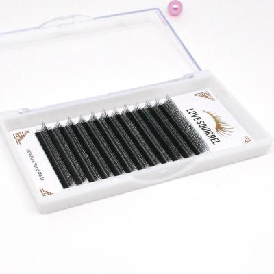 China Clover Eyelash Love Accumulate W Vv Yy Shape Volume Individual Eyelash Extension Clover Lashes Private Label for sale