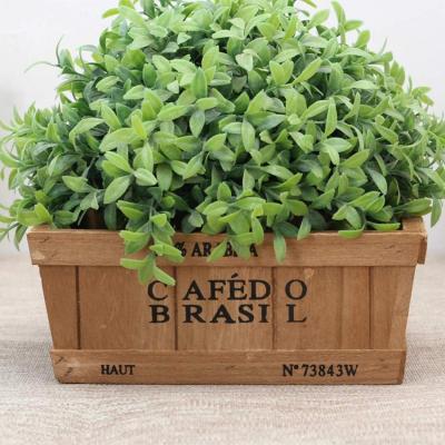 China High Quality Light Wooden Succulent Bed Pot Planter Box Window Garden Flower Plant Baskets for sale