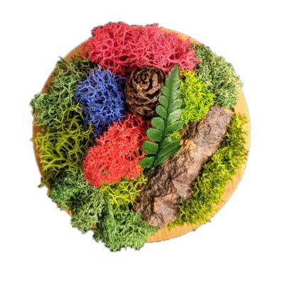 China Shape Preserved Moss And Ferns Fridge Magnets for sale