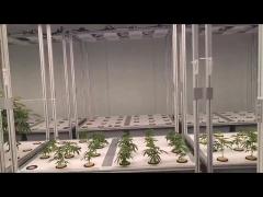 Greenhouse Aeroponics Hydroponics System