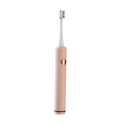 China 2021 Cheap ABS USB Rechargeable Waterproof Smart Adult Electric Sonic Toothbrush for sale