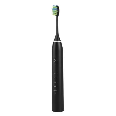 China ABS+PC Wholesale Travel Rechargeable Ultrasonic Electric Toothbrush OEM Adult Private Label for sale