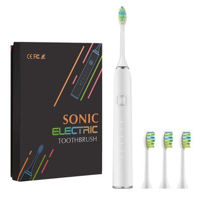 China Dupont/Pedex automatic electric toothbrush ipx7 waterproof adult vibrator with brush head holder for sale