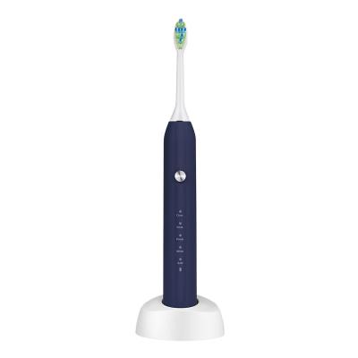 China Private Sonic Type Rechargeable Rechargeable Portable Adult Powerful Waterproof Electric Toothbrush for sale