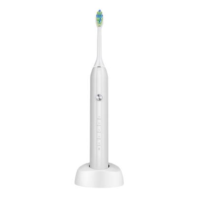 China Professional Adult Intelligent Inductive Rechargeable Sonic Electric Toothbrush Cheap High Quality Rechargeable for sale