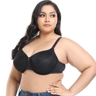 China Wholesale Ladies Summer Lingerie QUICK DRY Plus Size Underwire Bra For Large Breasts Soft Padded Breathable Comfort Lace Plus Size Bra for sale