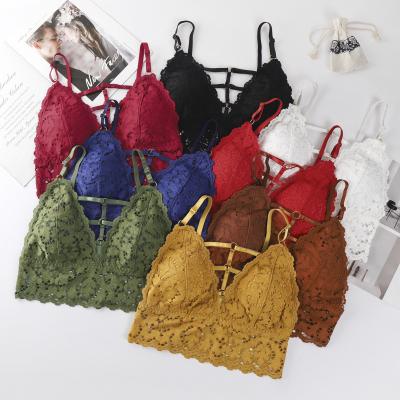 China QUICK DRY Hot Sale Wholesale Hollow Lace Bra Metal Accessories No Steel Ring Breathable Comfortable Fashion Bra for sale