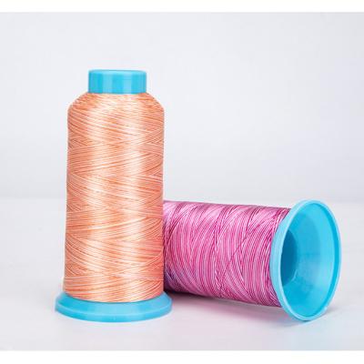 China Sustainable 120D polyester label woven dmc embroidery thread computer embroidery section dyed tassel embroidery thread for sale