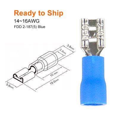 China FDD2- PVC 14~16 A.W.G. 187(5) blue insulated Shell Brass Female Terminal Lugs blue FDD 2 187(5) FDD2- 187(5) for sale