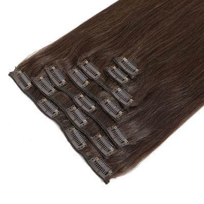 China Silky Straight Wave Trackless Clip-in Hair Extension for sale