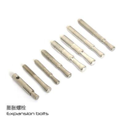 China Durable Stainless Steel Fasteners Break Bolts Expansion Nut And Anchor Stainless Steel Swivel Bolt for sale