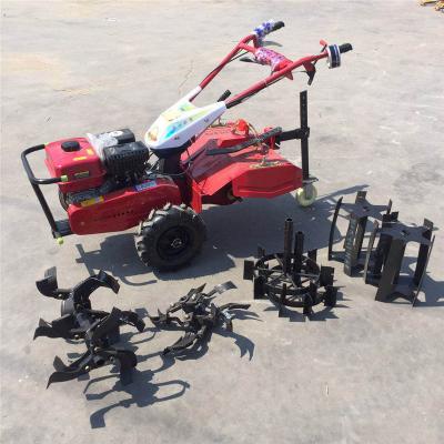 China Ariculture Equipment 7.5HP Gasoline Power Tiller Garden Rotavator Gasoline Cultivator Tiller Made In China for sale