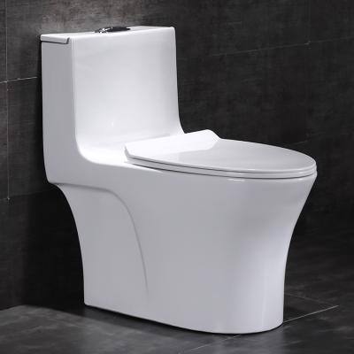 China Double-Flow Washdown Sanitary Ware Floor Standing One Piece WC Cabinet for sale