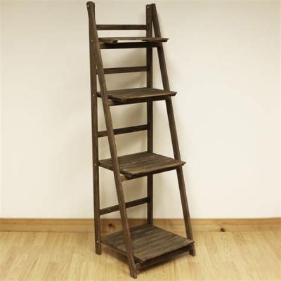 China Eco-friendly Colorful New Style Wooden Display Shelving Ladder Shelf Bookcase for sale