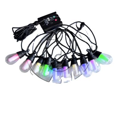 Chine Lumière extérieure à cordes Lampes d'arbre E26 Led Twinkle Light pour une longueur personnalisée à vendre