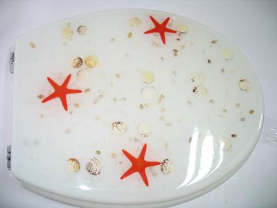 China sea star shell toilet seat,poly resin decorated seat cover,color box,zinc alloy hinge for sale