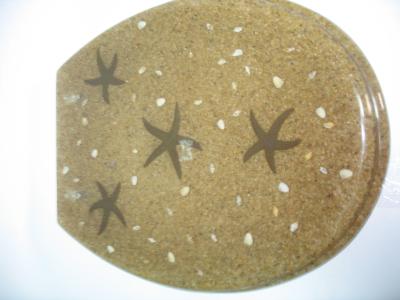 China sea star shell toilet seat for sale