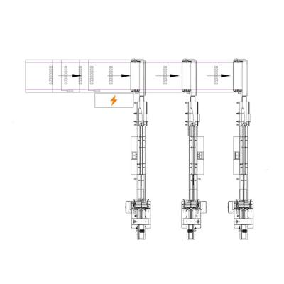 China Customized Automation Side Sorting Packaging System Turkey Project Feeding Packing Line for sale