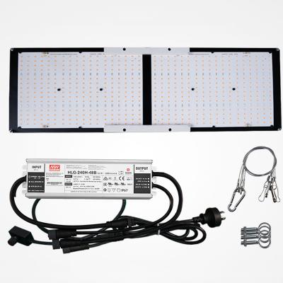 China Seed Seed Starting 2021 Qb288 V3 240w Indoor Garden Plant Samsung Lm301b Led Board Grow Light for sale