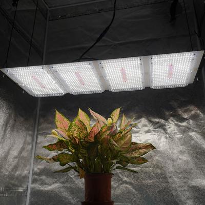 China Seed Starting 2021 Full Spectrum Lm301h Veg Vertical Agricultural Hydroponic Flower Led Board Grow Lights for sale