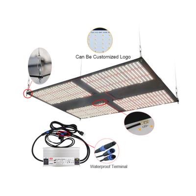 China Seed Starting Hydroponic Growing System Lm301b 3500k 480w Indoor Greenhouse Full Spectrum Led Grow Light Plant for sale