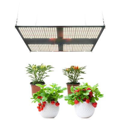 China Chengze Commercial Red Full Spectrum Strategist Starting Light Samsung Lm301B 660Nm Seed Led Grow Light for sale