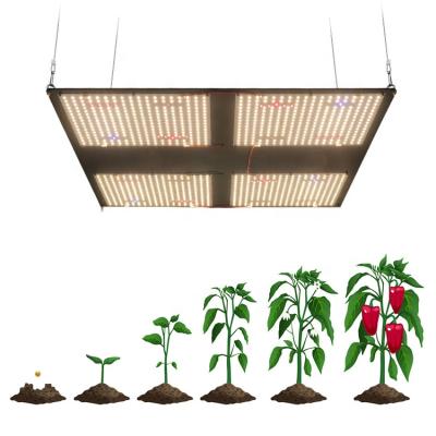 China Seed Starting New Board Plant 480w Full Spectrum Hydroponic Vertical Growing Led Grow Light for sale