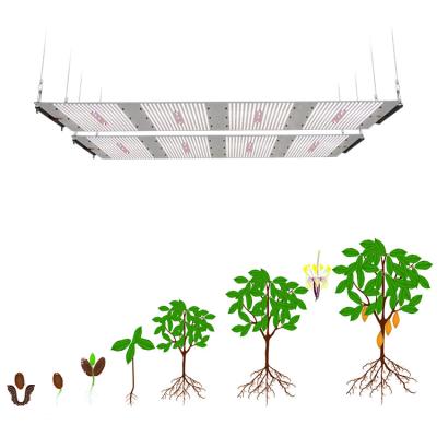 China Seed Starting Hydroponics System 600W Lm301h Full Spectrum Led To Grow Light For Indoor Garden for sale