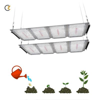 China Seed Starting Plant Direct Meijiu Garden Led Plant 600w Led Grow Light Lm301b Kit 3000K 3500K Full Spectrum Led Grow Lights for sale