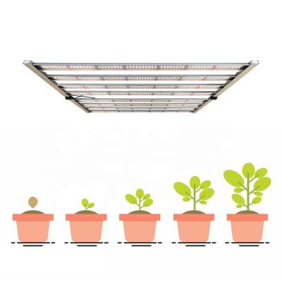 China Seed Starting 2022 Best Led Grow Light Using Samsung Led Bar Series Led Strip Grow Light Indoor Meijiu Factory Samsung LM 301b for sale