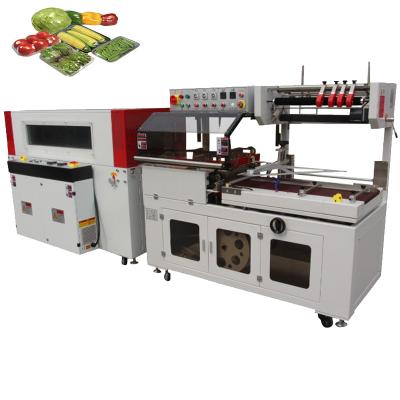 China Automatic Food Film Shrink Wrapping Machine And Heat Tunnel Tube Wrap Packaging Machine for sale