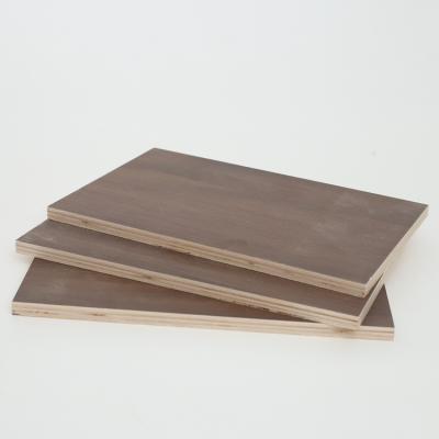 China New Arrivals High Quality Durable Using Various Cabinet Melamine Plywood for sale