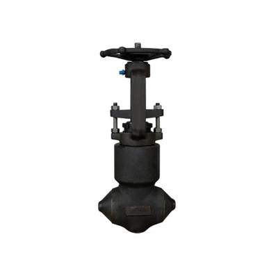 China General A105 Forged Steel Pressure Sealing Gate Valve for sale