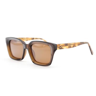 China Fashion Sunglasses New Arrival Brown Frame Tortoise Temple Unisex Transparent Acetate Polarized Sunglasses for sale