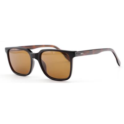 China New Design Square Brown Square Acetate Transparent Sunglasses With Spring Hinge for sale