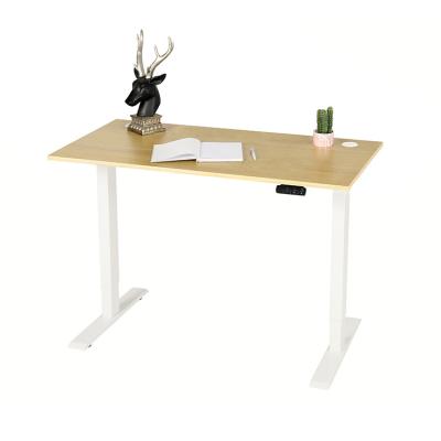 China High Quality Removable Height Adjustable Tables Stand (Height) Adjustable Desk for sale