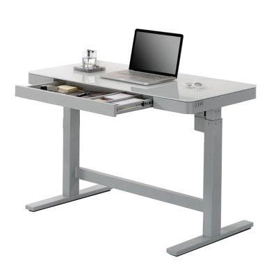 China Adjustable Electric Height (Height) Adjustable Sit-Rack Computer Desk For Office for sale