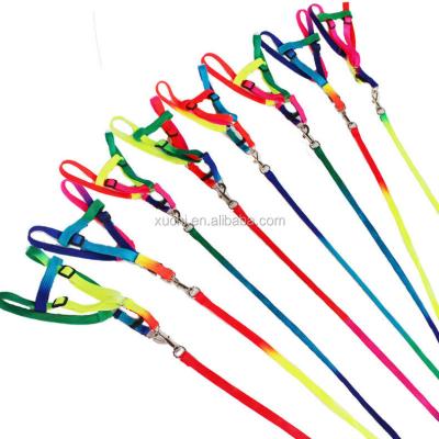 China Sustainable Factory Rainbow Flat Pet Leash Harness Viable For Small Pets for sale