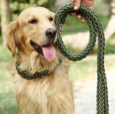 China Viable High Quality Adjustable Hands Free Dog Leash With Restraint Belt for sale