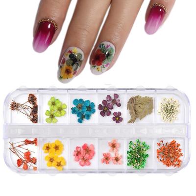 China Non Toixc JINYI 2021 New Design 3D Beauty Nail Decorations Dry Products Dried Flowers To Nail Art Dried Flowers Sticker for sale