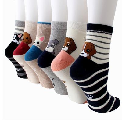 China New Design Breathable Women Ankle Socks Cute Dog Cartoon Socks Wholesale for sale