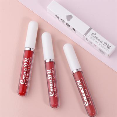 China 18 Colors Lipstick Waterproof Non-stick Cup Matte Lip Gloss Waterproof Long Lasting Lipstick for sale