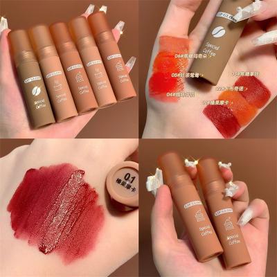 China Customized Makeup Waterproof Make Your Own Waterproof Pigment Cosmetic Tops Waterproof Matte Liquid Lipstick for sale