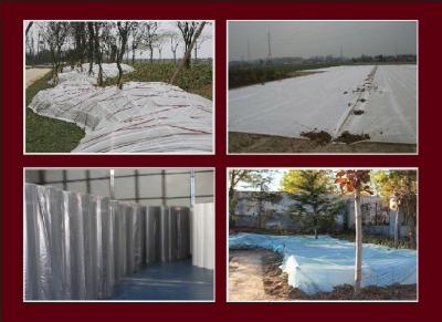 China 4% UV Treated Weed Control Agriculture Nonwoven Fabric Roll Tear-Resistant and Waterproof for sale